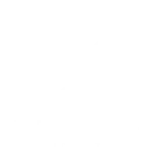 logoweb