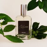 Profumo al Gelsomino