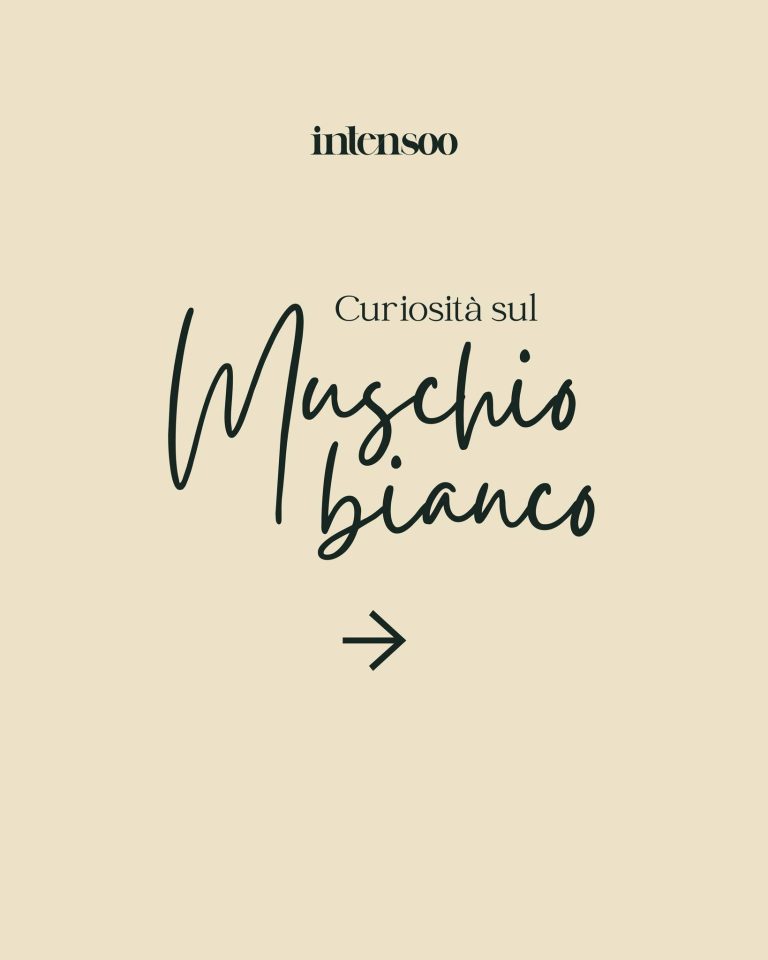 Instagram post from intensoopremiumparfum. This post is in position 5.
