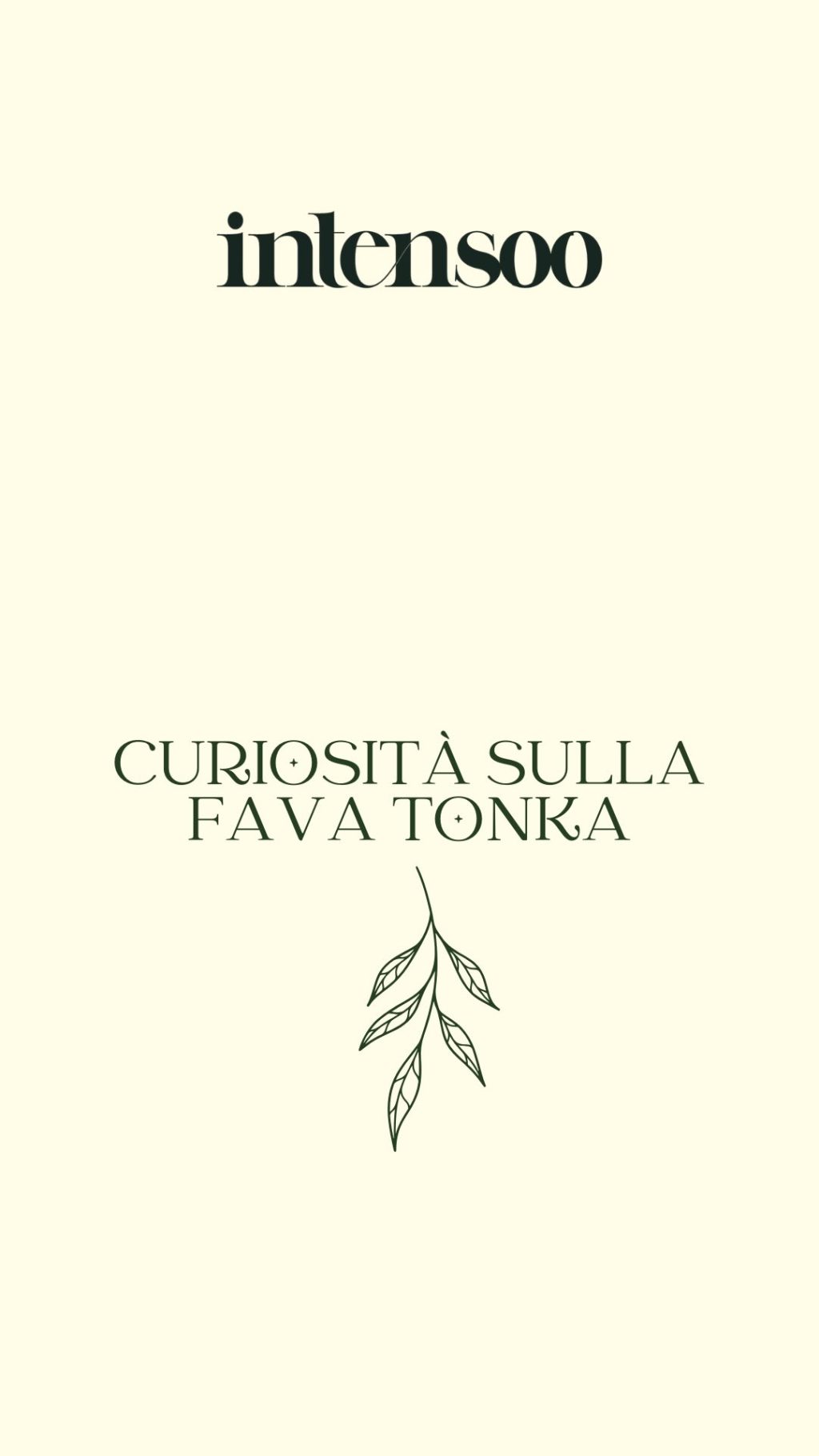 Instagram post from intensoopremiumparfum. This post is in position 4.