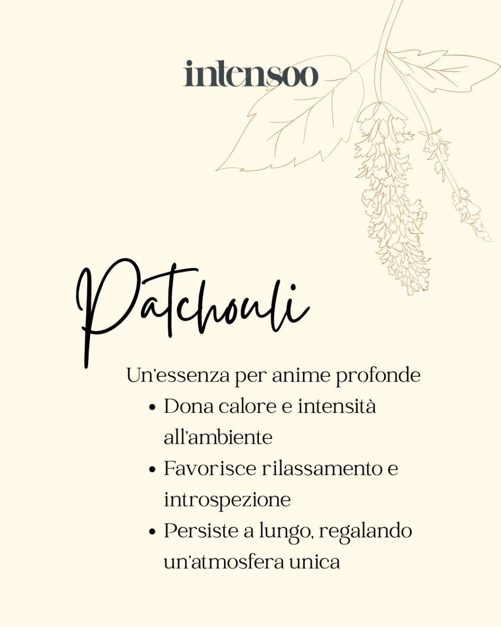 Instagram post from intensoopremiumparfum. This post is in position 2.
