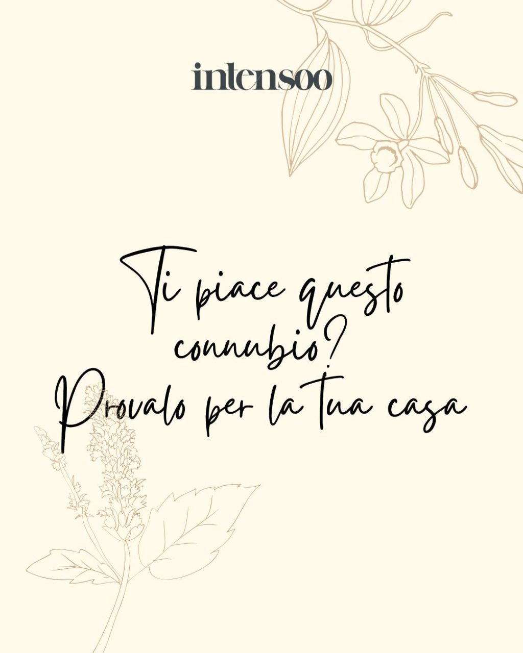 Instagram post from intensoopremiumparfum. This post is in position 6.