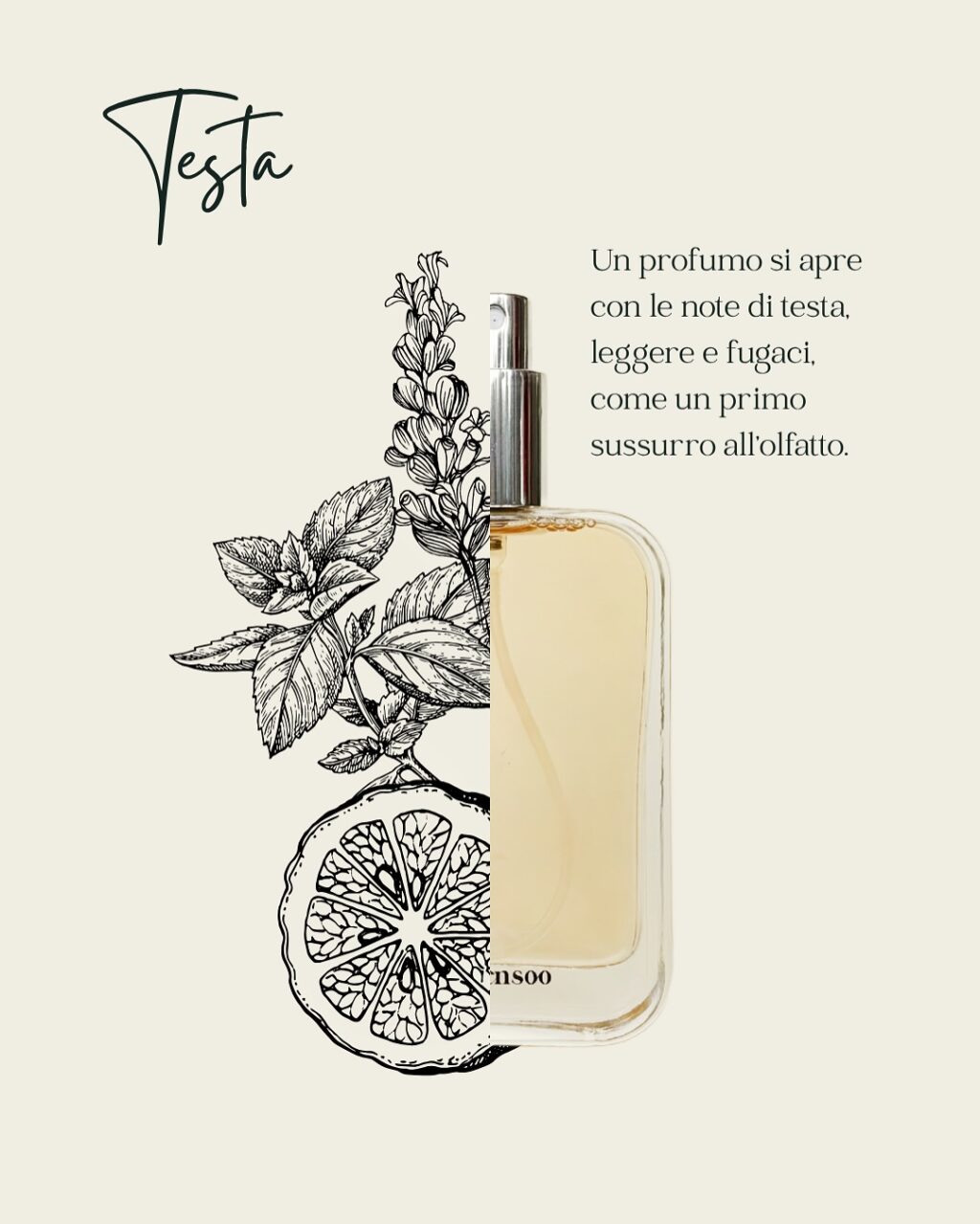 Instagram post from intensoopremiumparfum. This post is in position 1.