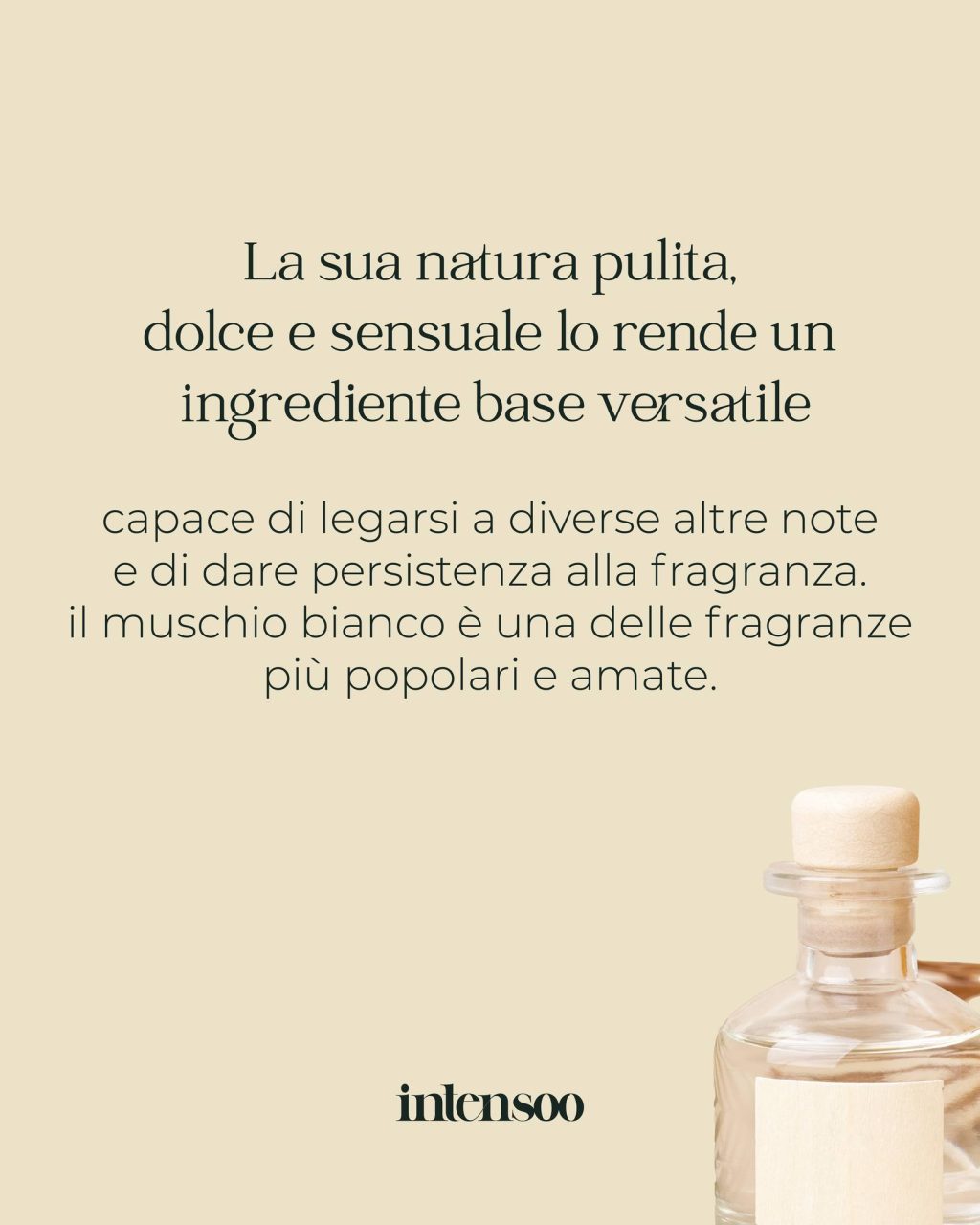 Instagram post from intensoopremiumparfum. This post is in position 3.