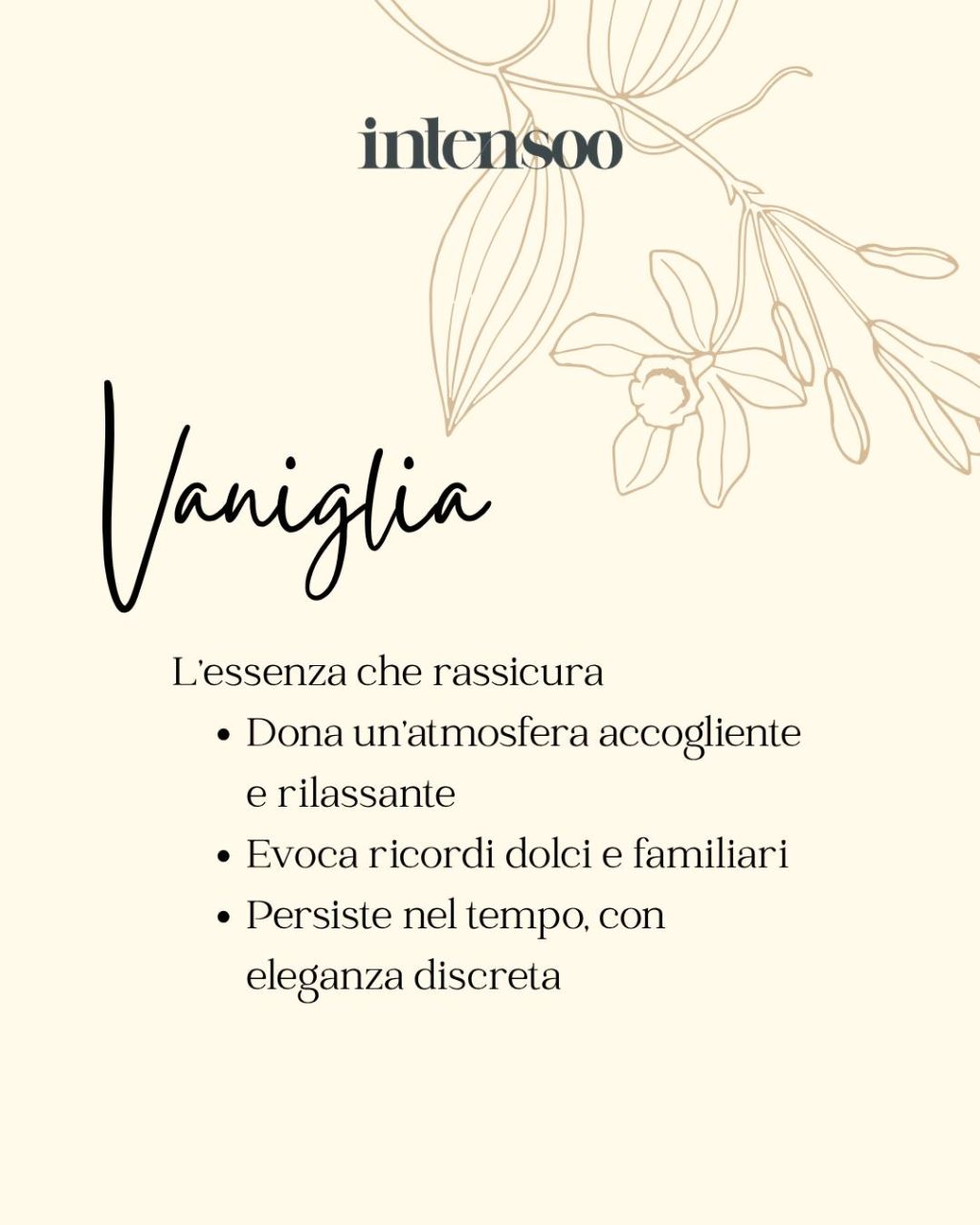 Instagram post from intensoopremiumparfum. This post is in position 5.