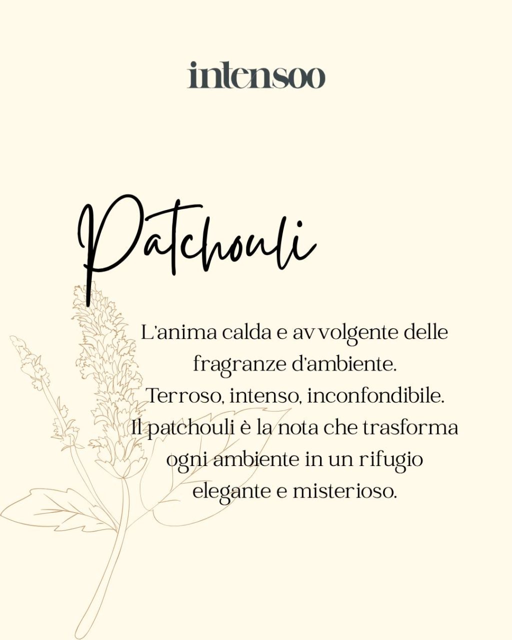 Instagram post from intensoopremiumparfum. This post is in position 1.