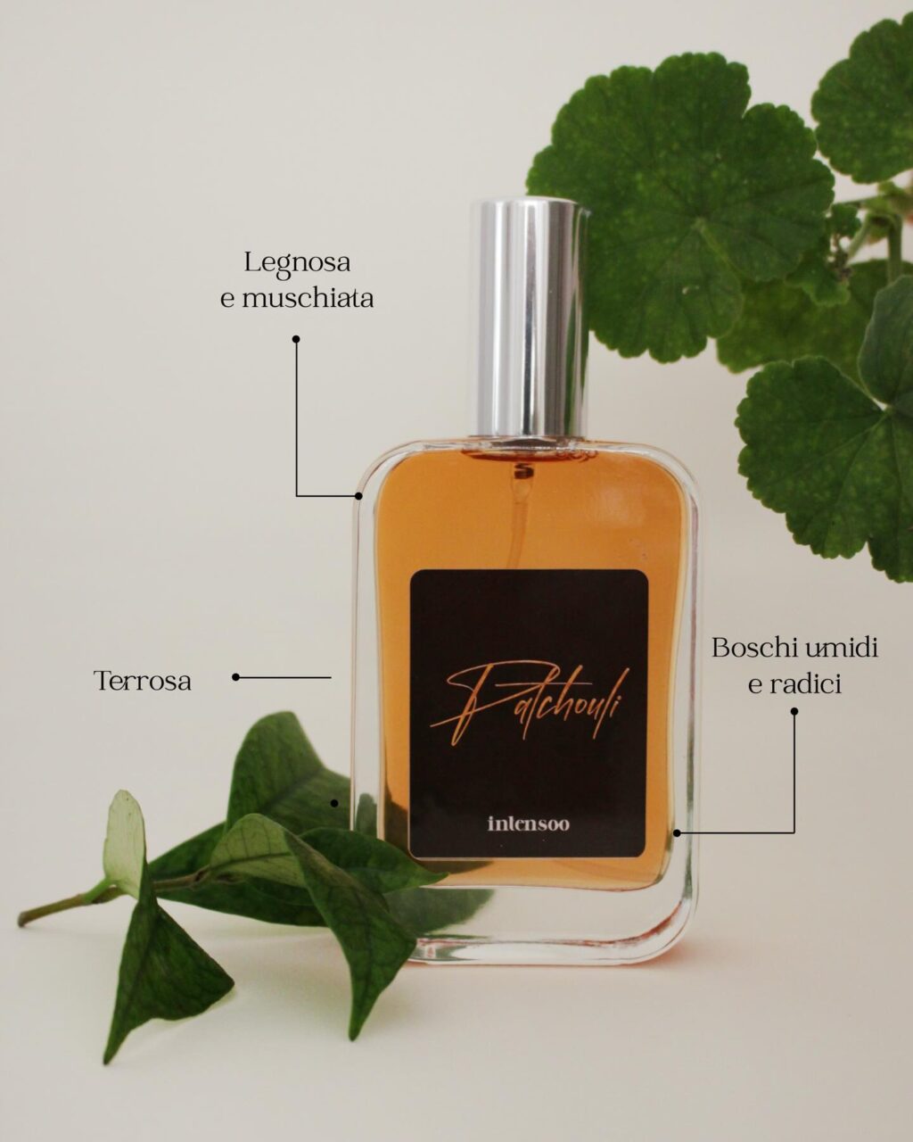 Instagram post from intensoopremiumparfum. This post is in position 2.