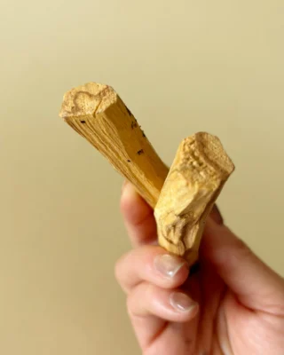 Instagram post from intensoopremiumparfum. This post is in position 1.