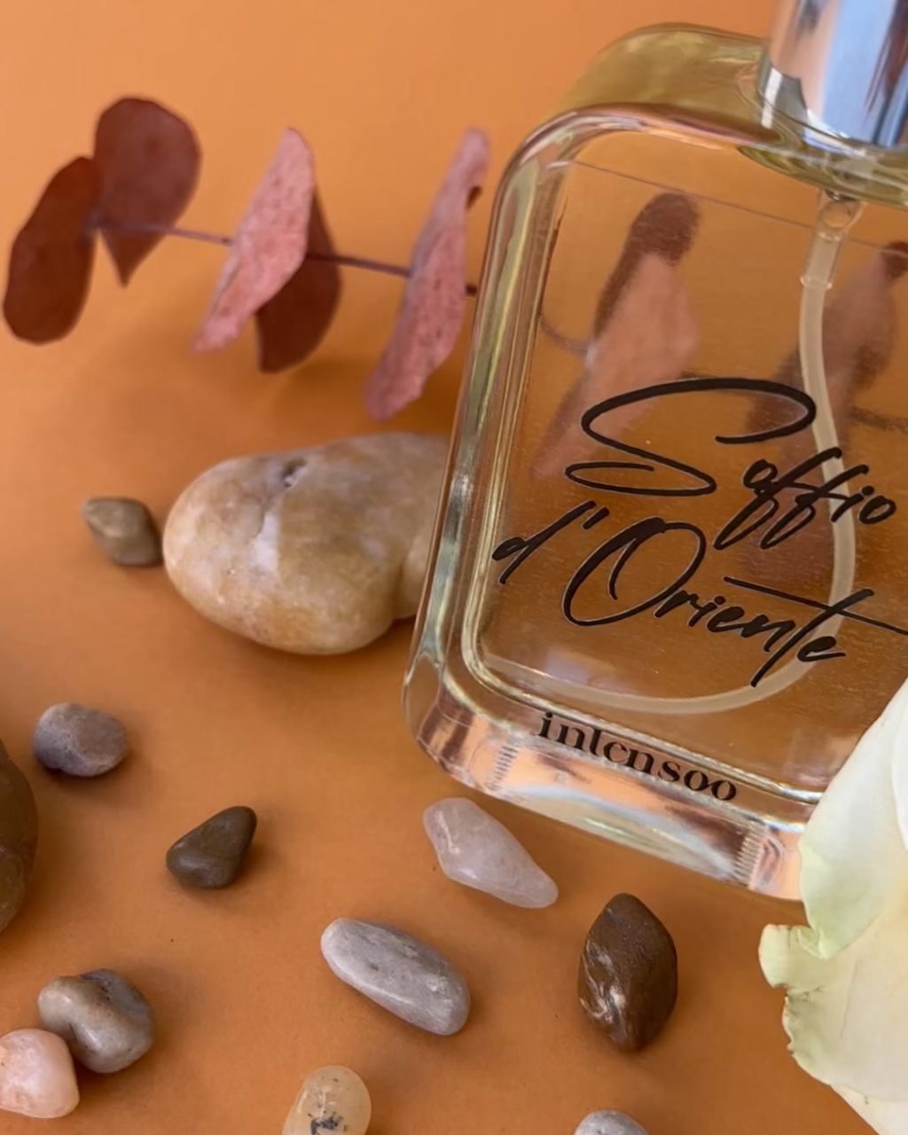 Instagram post from intensoopremiumparfum. This post is in position 2.