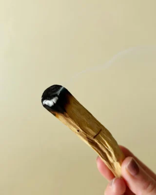 Instagram post from intensoopremiumparfum. This post is in position 4.
