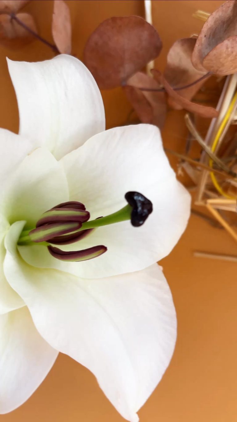 Instagram post from intensoopremiumparfum. This post is in position 3.