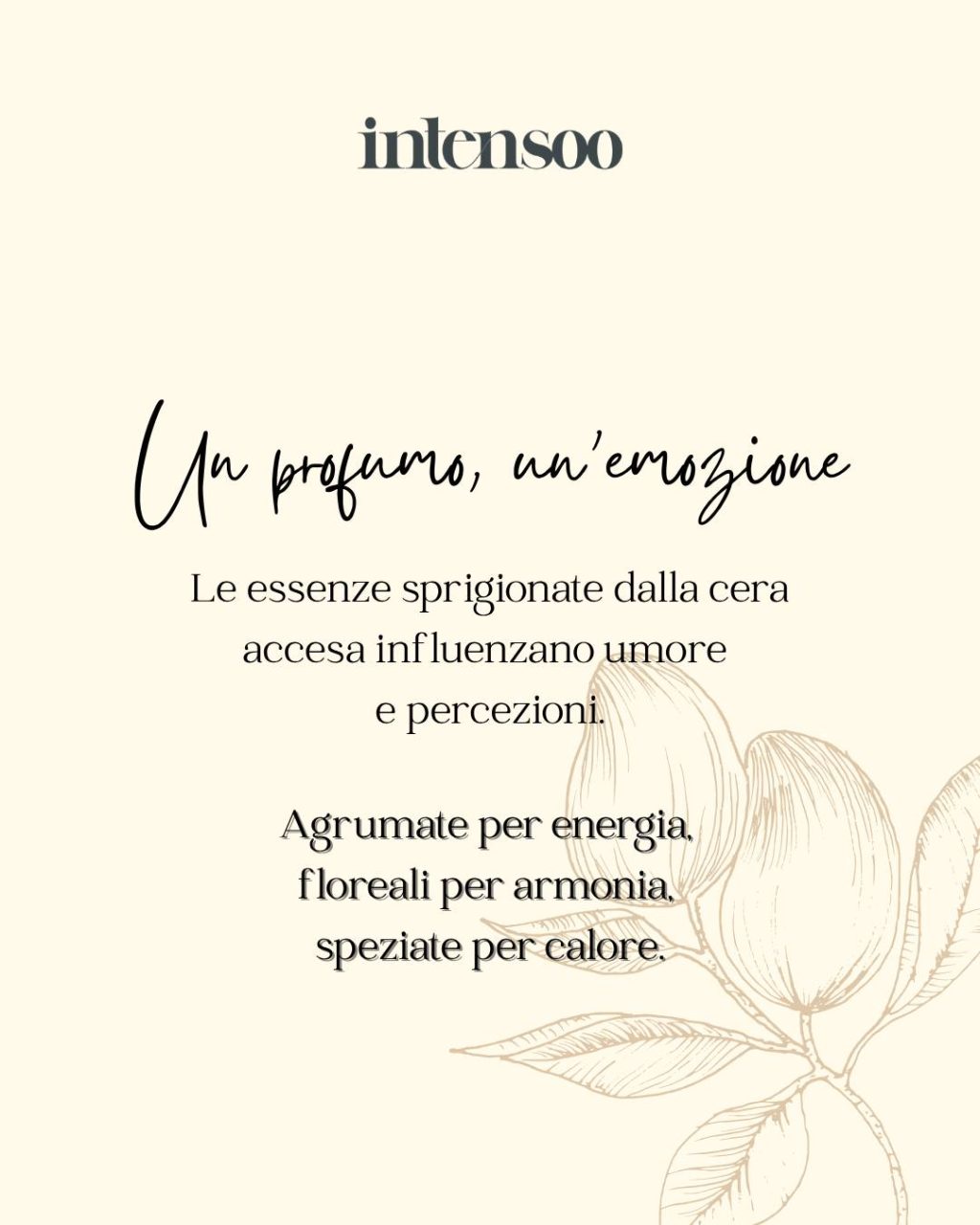 Instagram post from intensoopremiumparfum. This post is in position 2.